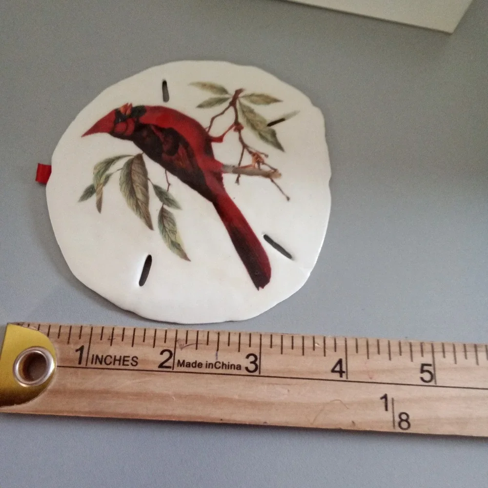 Real Sand Dollar Cardinal Bird Ornament Coastal Christmas Nature Decor White Red